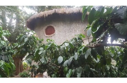Kaimane House | Rustic Charm Wayanad - The Roots (Treetop Suite)