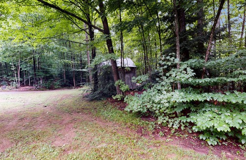 Grafton House | Rustic country home, wifi, firepit, w/d, kitchen, VAST trail, dog-friendly, TV's