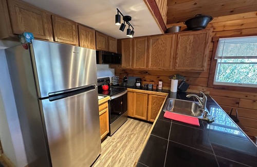 Champion Cabin | Rustic Log Cabin Nestled in Mountain Laurel Near 7 Springs/Hidden Valley