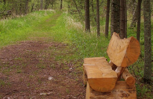 South Range Cabin | Rustic Retreat Cabin for Families/Sm Groups, "Shalom"