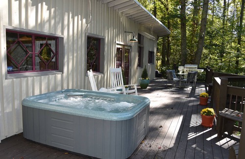 Candler Cabin | Rustic Retreat with Soothing Sauna and Plunge Pond