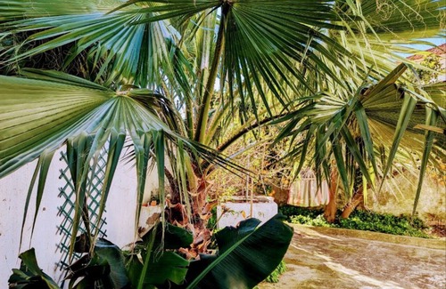 Sobral House | Rustic Village Beach House Sleeps 8 - 5 Mins from Areia Branca and Lourinha