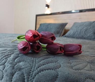 Aksaray Hotel | Süvari Hotel