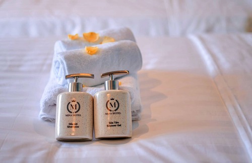 Bien Hoa Hotel | S79 Mina Hotel