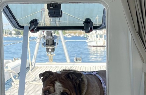 Palm Beach - West Palm Beach Boat Rental | Sailboat In Downtown West Palm Beach