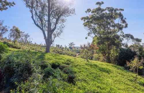 Nuwara Eliya Other | Sailors cabin