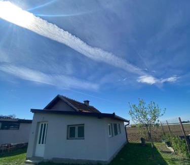 Novi Sad House | Salaš u Futogu