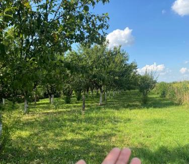 Novi Sad House | Salaš u Futogu