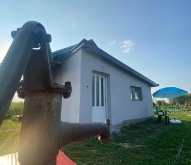 Novi Sad House | Salaš u Futogu