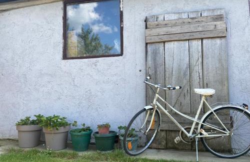 Novi Sad House | Salaš u Futogu