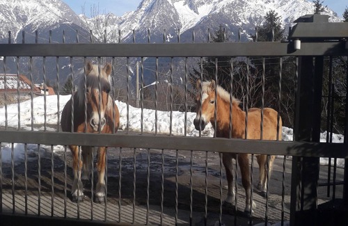 Malonno House | Salvino