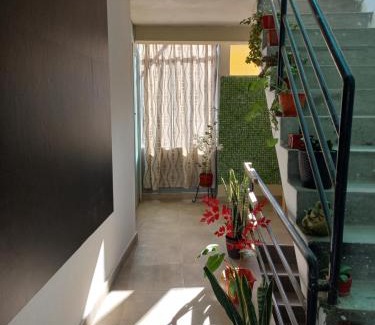 Abancay House | Samay