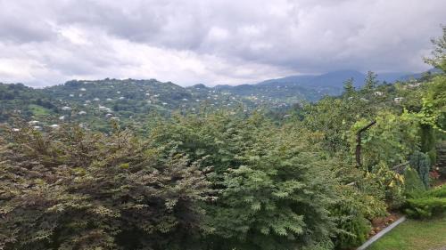 Kobuleti Apartment | Sameba House