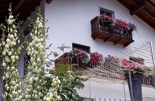 Tione di Trento Bed & Breakfast | SaMeCà