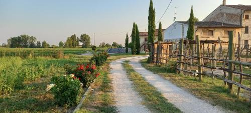 Castel Goffredo Apartment | san Pietro B&B app 5 Castel Goffredo