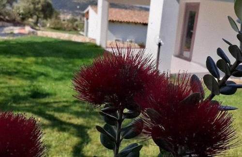 Torpe Bed & Breakfast | SardAma B&B Affittacamere