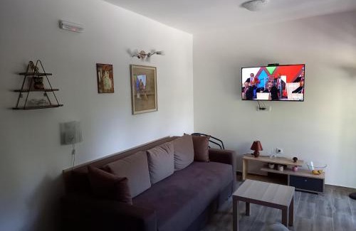 Kremna Apartment | Savić Tara