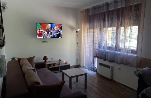 Kremna Apartment | Savić Tara