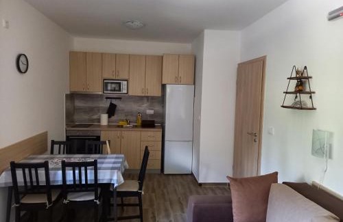 Kremna Apartment | Savić Tara