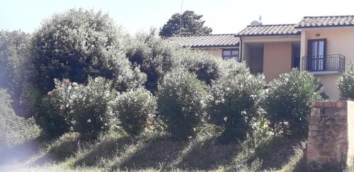 Corbara Hotel | Scacco Matto