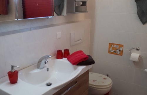 Hohegeiß Apartment | SCHOPIS HARZ FEWO No. 3 with balcony,spacious and cozy, quiet location, WLAN incl.