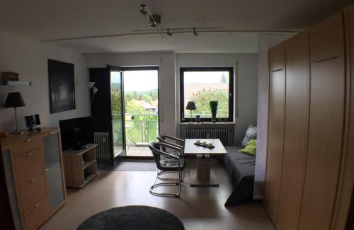 Schoenwald Apartment | schwarzwald-apartment