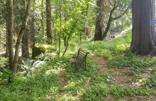 Happy Valley Apartment | Scott Creek Farm: 2 Acre Sustainable Farm With Forest, Creek, And Nature Park.