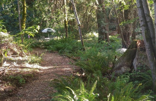 Happy Valley Apartment | Scott Creek Farm: 2 Acre Sustainable Farm With Forest, Creek, And Nature Park.