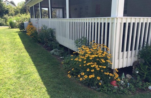 Kelleys Island House | Screened in back porch is a haven!