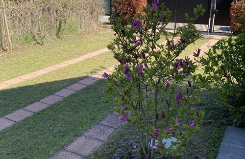 Lido delle Nazioni House | Sea, garden and magical harmony