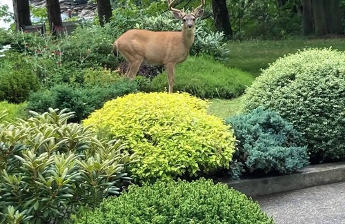 Regional District of Nanaimo House | Sea La Vie Rare & Peaceful Hidden Gem Shore House