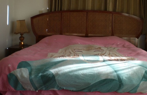 Shishihama House | Sea view house deluxe double room / Numazu Shizuoka