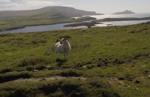 Portmagee Bed & Breakfast | Seagull Cottage Bed and Breakfast