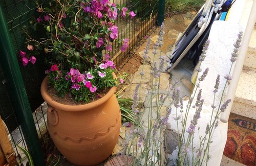 Bandol Apartment | Seaside Villa Apartment with Large Terrace 2 mins from Renecros Beach