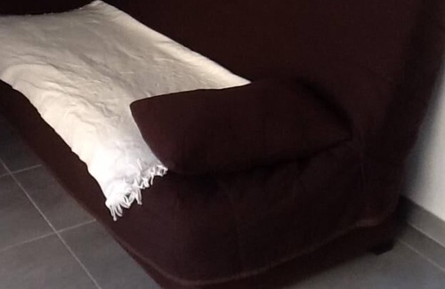 Aiguerelles Apartment | SEASONAL RENTAL STUDIO 20 M2 MONTPELLIER BEACHES ON THE ROAD