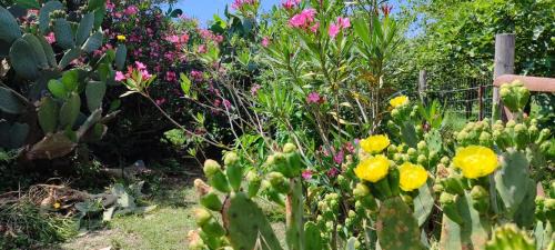 Capo d'Orlando House | SeaSun House