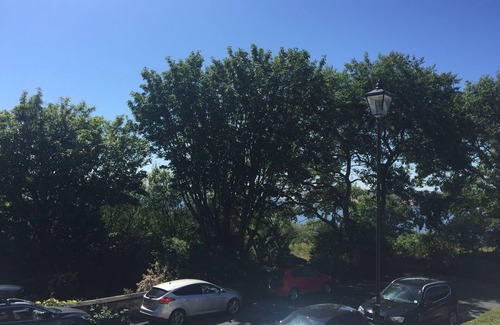 Tynemouth Apartment | Seaview Tynemouth Apartment and Parking. Pet friendly!
