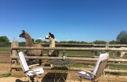 Coalpit Heath House | Secluded - Beautiful stable conversion in a great location - Gilliflower