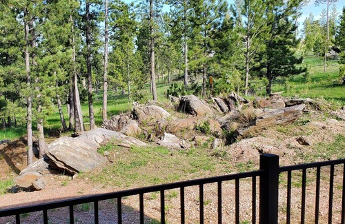 Custer Cabin | Secluded Black Hills Studio Cabin Near Crazy Horse and Custer State Park