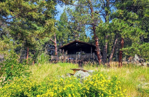 Clancy Cabin | SECLUDED CABIN ON 65 ACRES SURROUNDED BY NATIONAL FOREST CLOSE TO HELENA