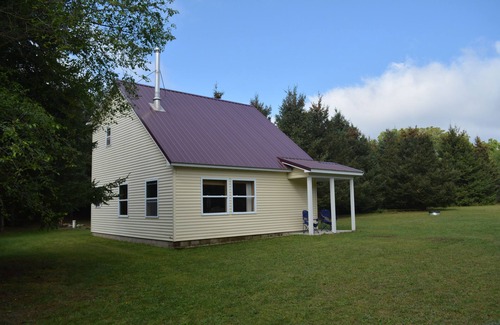 Copemish Cabin | Secluded cabin surrounded by 8 acres of nature