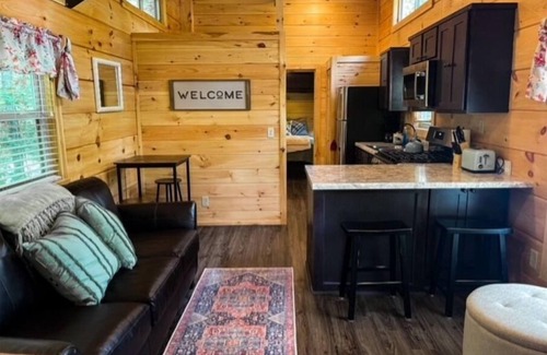 Talisheek Cabin | Secluded cozy tiny cabin on the water with fire pit and private dock