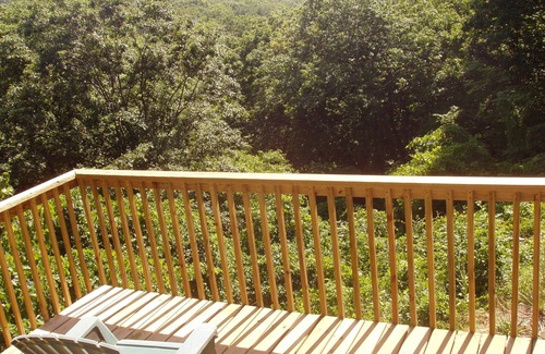 Covert Cottage | Secluded dunes home w/private Lake Mich beach + 150 acres of forest - dogs OK