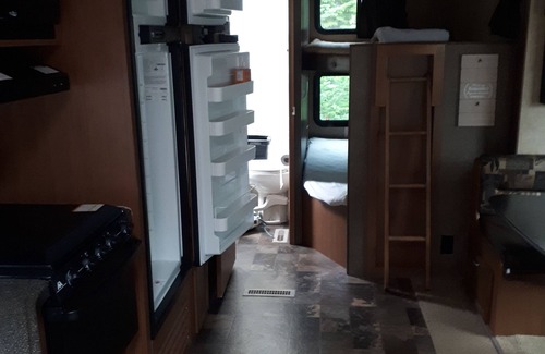 Terra Nova House | Secluded wooded getaway steps from the salt water