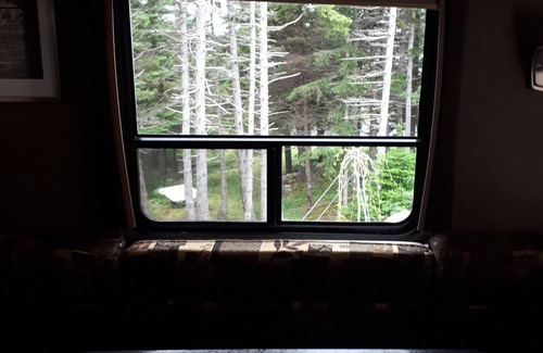 Terra Nova House | Secluded wooded getaway steps from the salt water