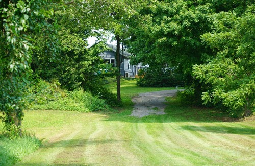 Dowagiac Cottage | Secluded Woods Edge Cottage in Dowagiac MI.