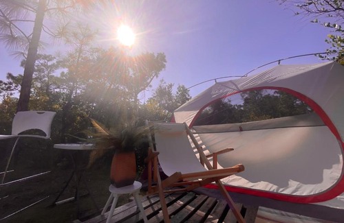 Christmas Other | secret garden eco-glamping at FLC