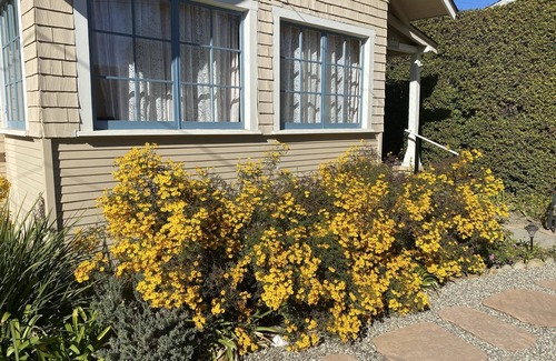 Oak Park House | Secret Garden Hideaway-3 bd/4bth, beautiful yard, walk to town. Pet friendly, AC