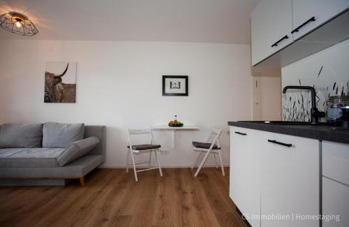 Bodman-Ludwigshafen Apartment | Seensucht