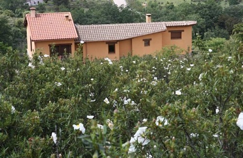 Berzosa del Lozoya Cottage | Self catering El Esguizaro for 4 people